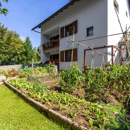 Apartaman Gordana *