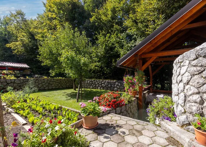 Apartaman Goga Apartament