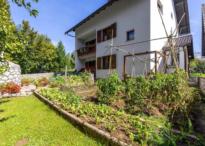 Apartaman Goga *