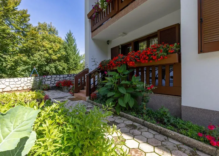Apartaman Goga *