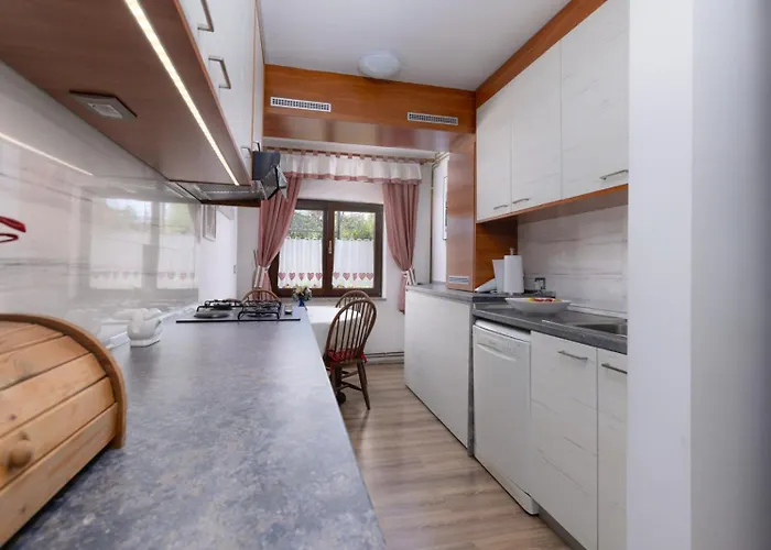 Apartaman Goga *