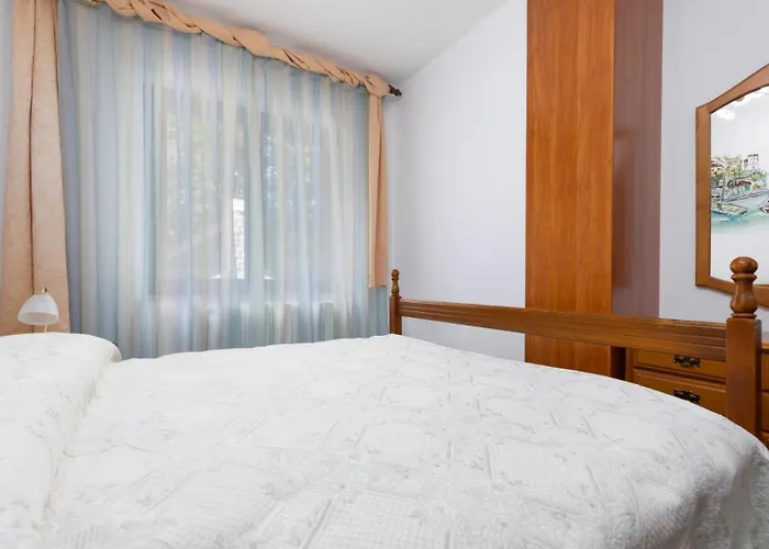 Apartaman Goga * Lokve