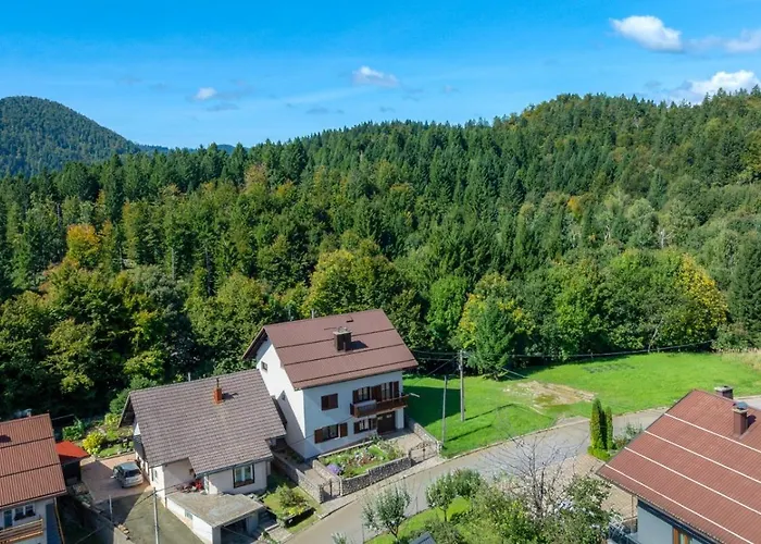 Apartaman Goga Apartament *